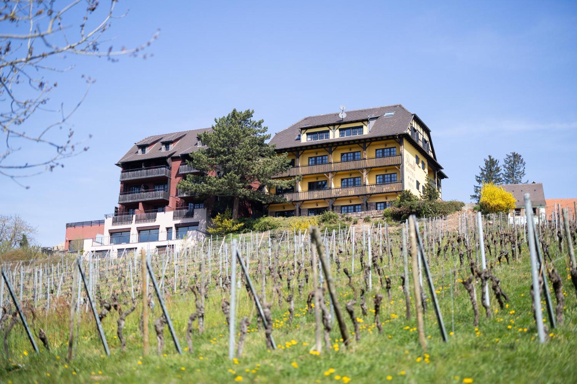 Hôtel Arnold Itterswiller Exterior foto